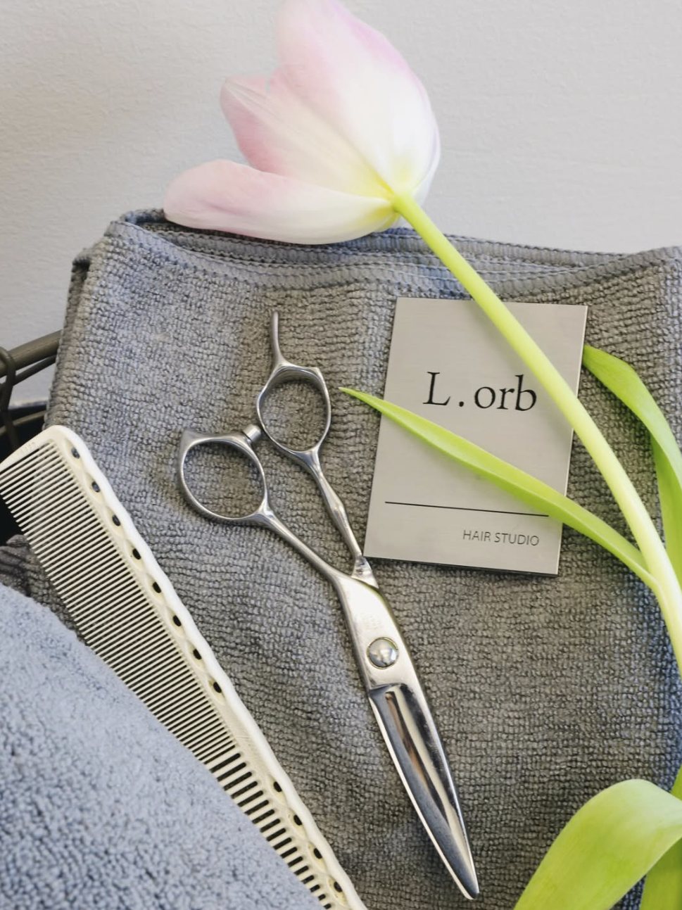 Studio tools — shears, comb, and tulip